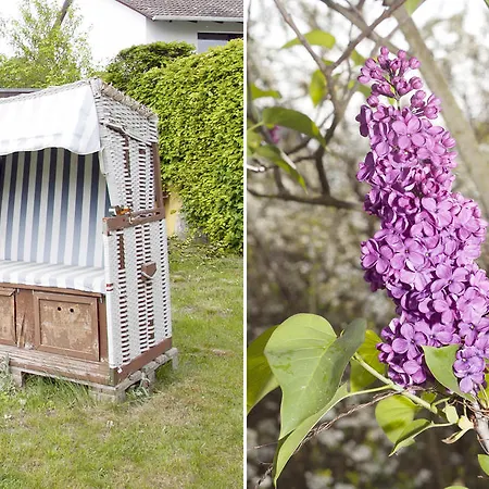 빌라 Ferienhaus Seestern Am Steinhuder Meer, 5 Schlafzimmer 슈타인후데